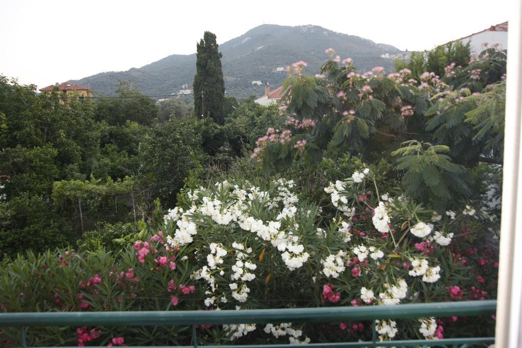Sappho Studios Mytilene Bilik gambar